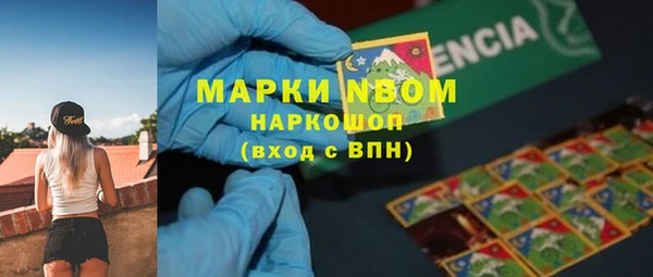 ПСИЛОЦИБИНОВЫЕ ГРИБЫ Баксан