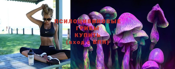 ПСИЛОЦИБИНОВЫЕ ГРИБЫ Баксан