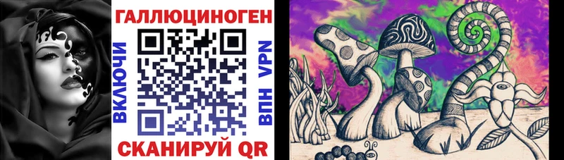 купить закладку  Судогда  Галлюциногенные грибы Psilocybine cubensis 
