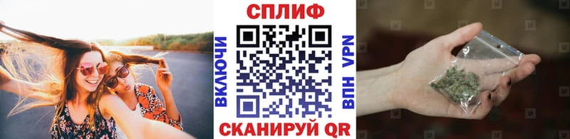 Конопля индика цены наркотик Судогда